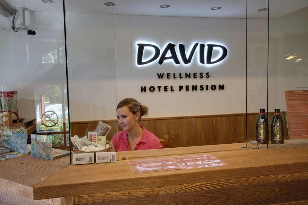 David Wellness Hotel Harrachov Dış mekan fotoğraf